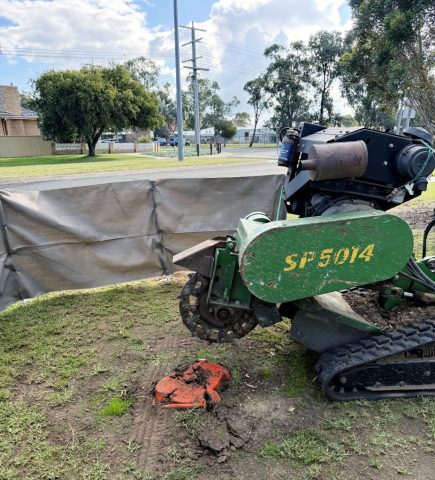 Tree-Works-Gippsand-1