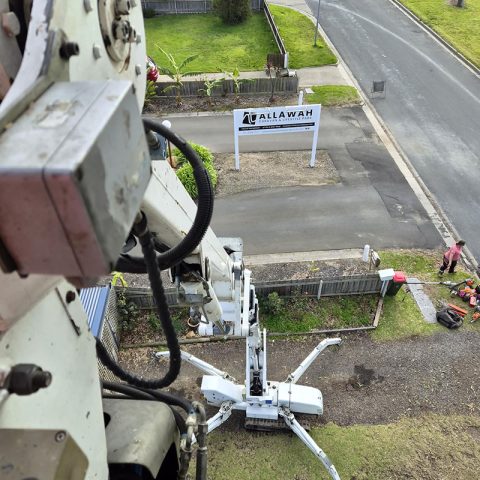 Tree-Works-Gippsand-2