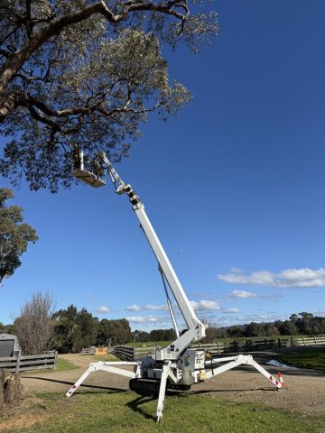 Tree-Works-Gippsand-6
